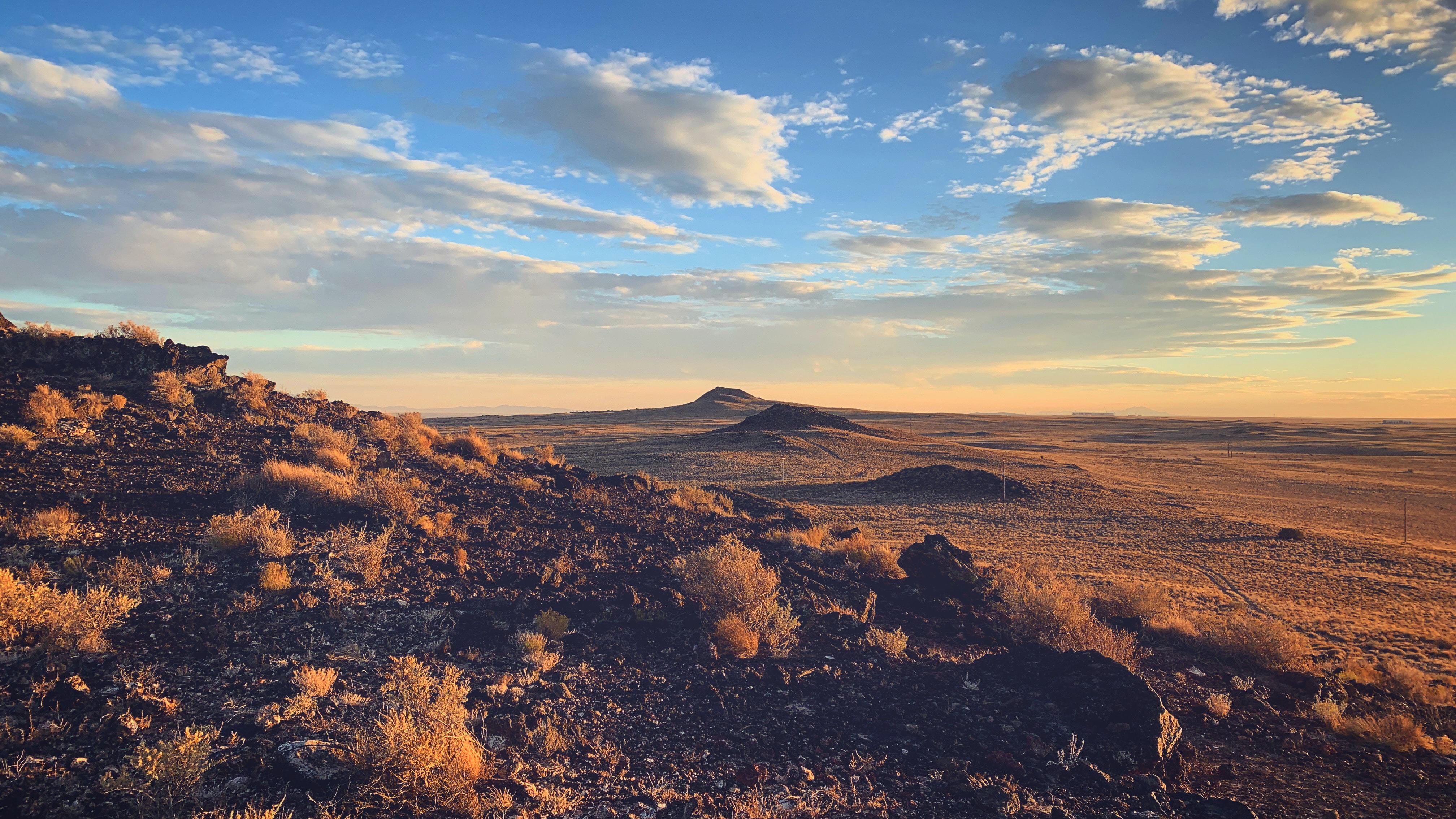 Ode to New Mexico